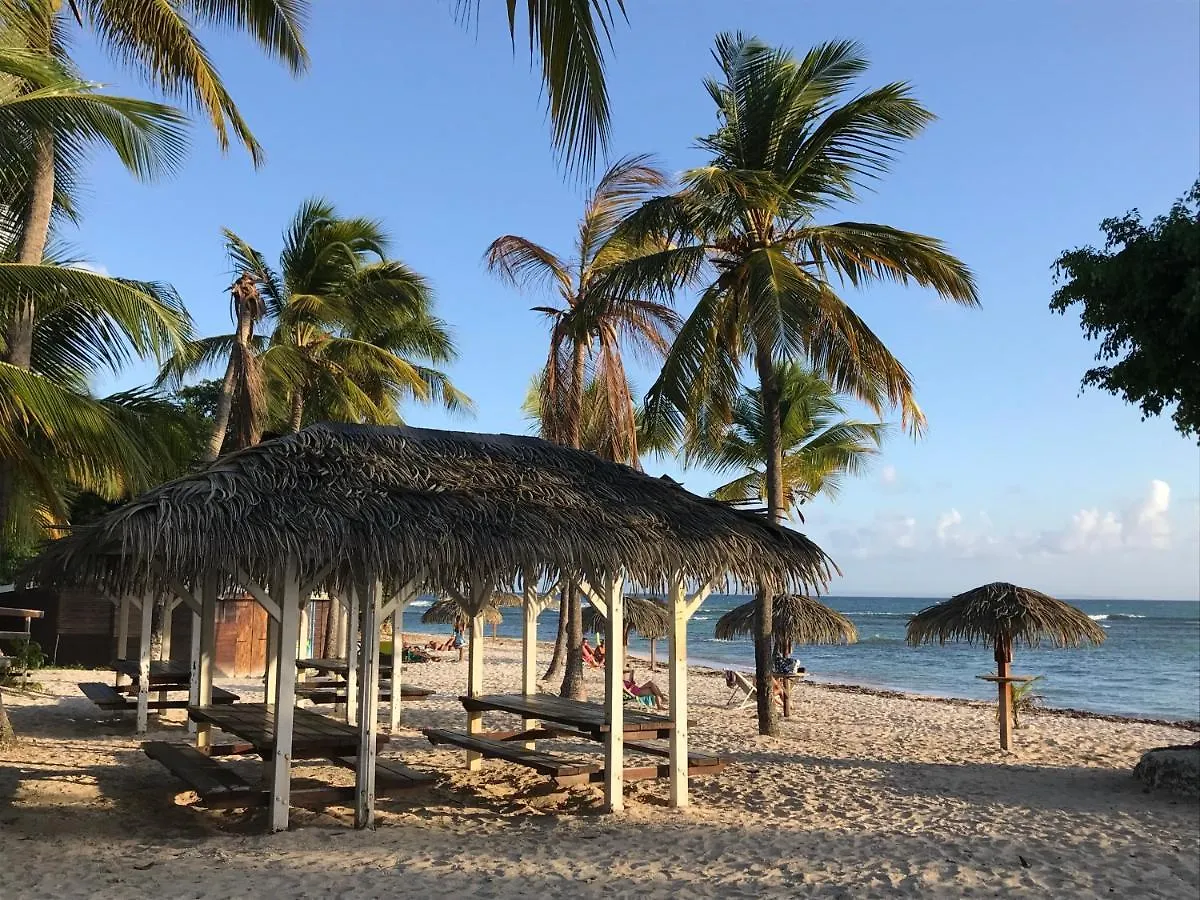 Apartment Coeur Tiare Studio Lounge Piscine Plage Cocotiers Saint-Francois