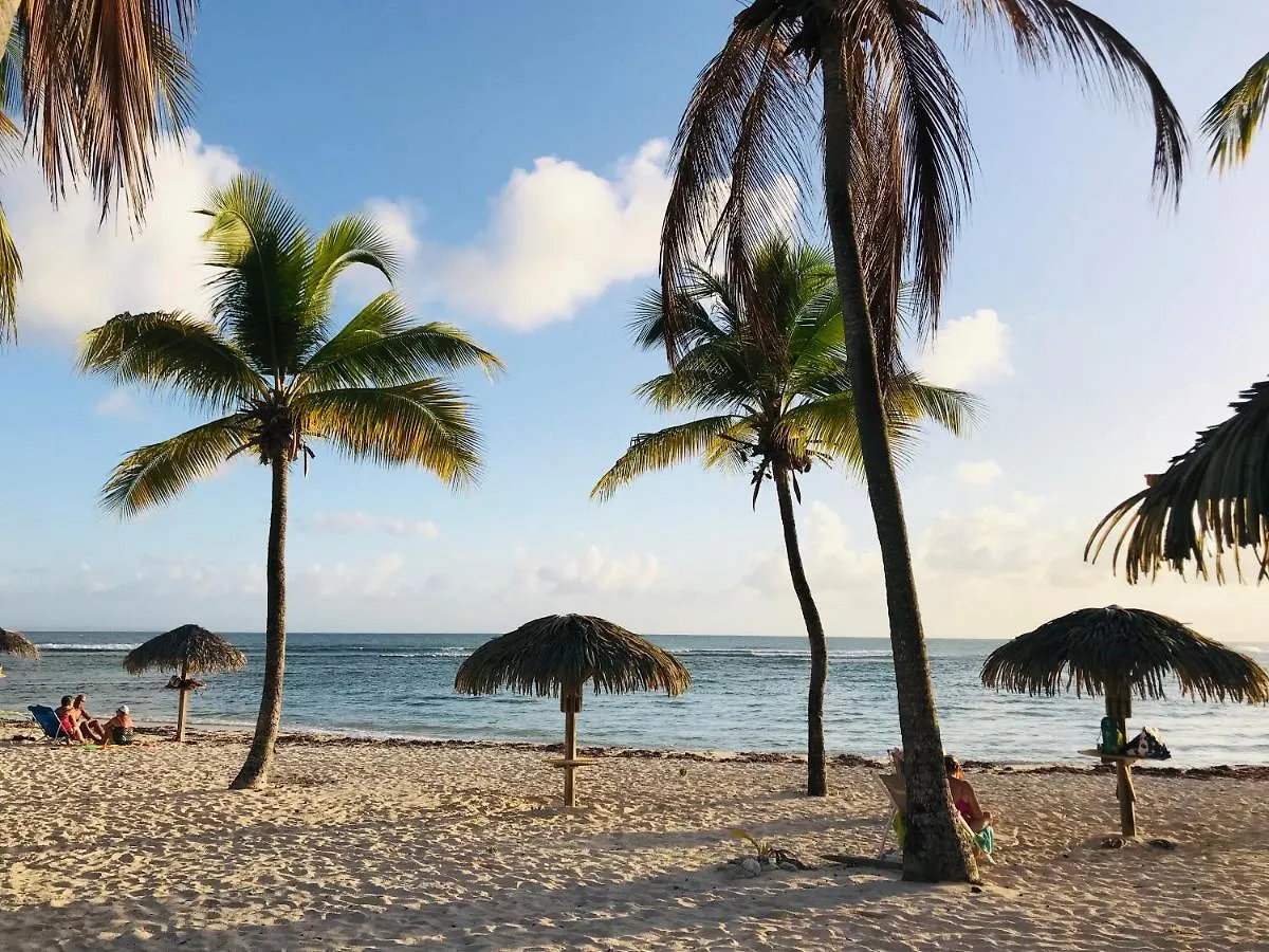 Coeur Tiare Studio Lounge Piscine Plage Cocotiers Saint-Francois  0*, Saint-Francois (Grande-Terre)